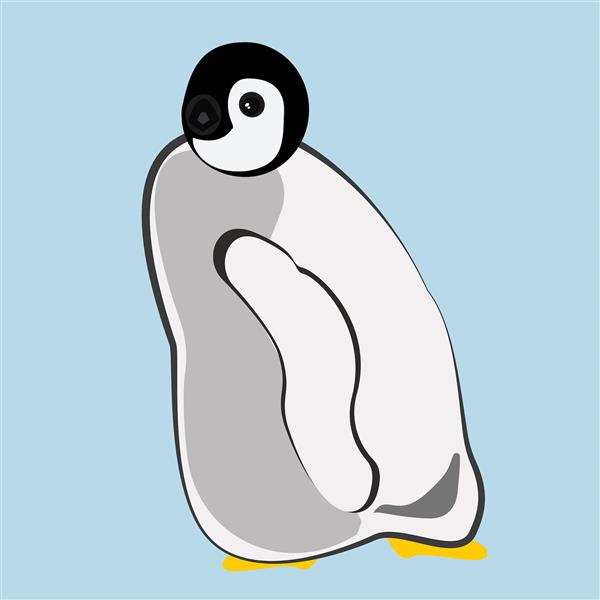 بچه پنگوئن سفید خاکستری