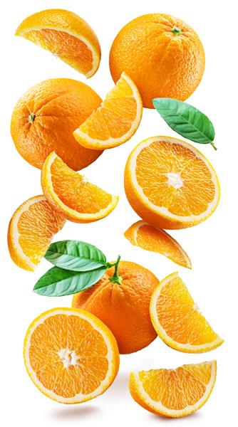 پرتقال های رسیده با نصف و برش هایی با برگ های درخت پرتقال به طور تصادفی روی یک زمینه سفید می افتند یا معلق می شوند پس زمینه شاداب برای پروژه شما مسیر برش