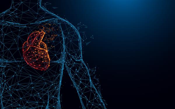 آناتومی قلب انسان خطوط و مثلث‌هایی را تشکیل می‌دهد شبکه اتصال نقطه‌ای در پس‌زمینه آبی وکتور تصویر