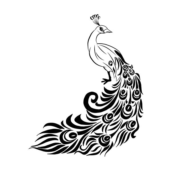 وکتور تصویر سیاه و سفید طاووس
