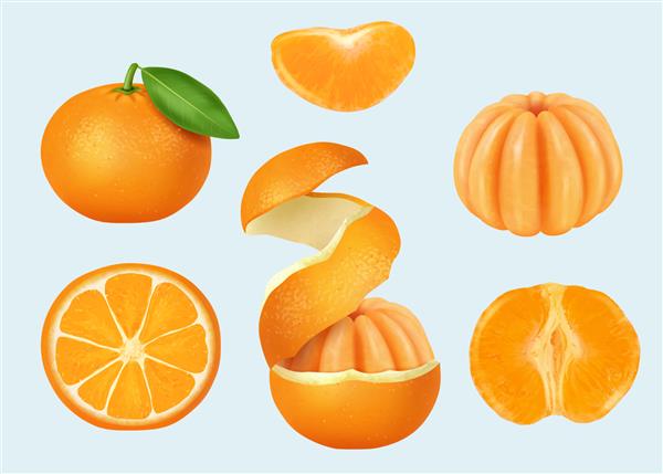 ماندارین ورقه شده تکه های نارنجی محصول سالم پوست کنده ماندارین مناسب و معقول قالب های واقعی
