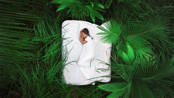 یک مکان پنهان زن خوابیده در جنگل اعماق جنگل روی تخت خواب دراز کشیده است از بالا مشاهده کنید