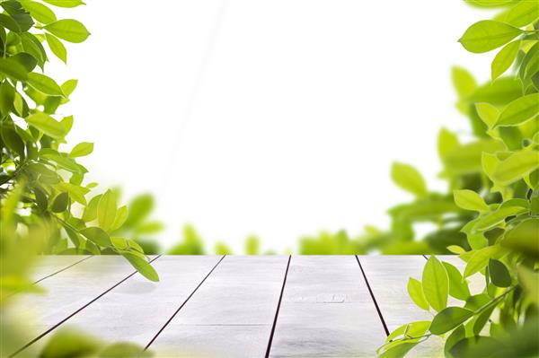 رویه میز چوبی با برگ های سبز بهاری به عنوان قاب و فضای خالی برای متن