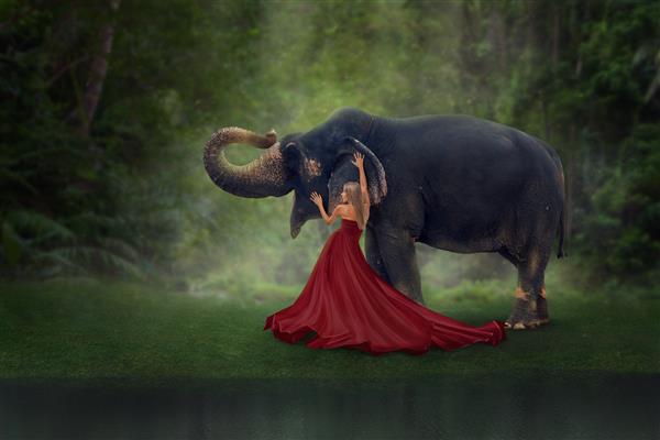 پرتره هنری فانتزی زن با فیل در جنگل استوایی