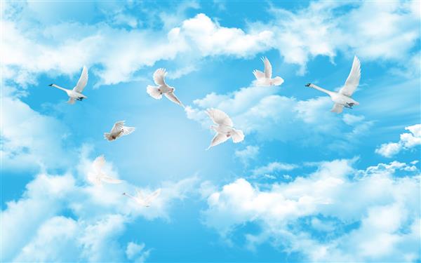 قوها و کبوترهای سفید در آسمان ابری آبی پرواز می کنند