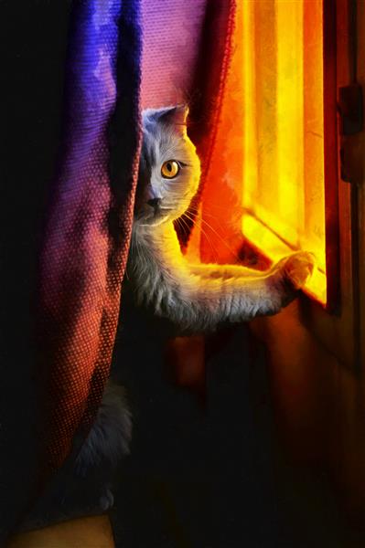 گربه دوست داشتنی زیبای مدرن در نقاشی رنگ روغن پنجره شب نقاشی انتزاعی برای دکوراسیون داخلی مجموعه هنرمند نقاشی حیوانات برای دکوراسیون و داخلی هنر بوم