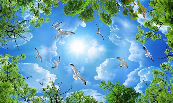 تصویر سه بعدی از یک تصویر آسمان آبی شفاف با ابرها و پرندگان در حال پرواز که از میان تاج درخت دیده می شود