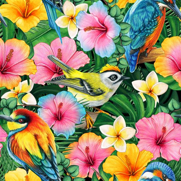 گل های هیبیسکوس با آبرنگ و طرح پرندگان رنگارنگ