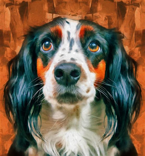نقاشی رنگ روغن مدرن سگ مجموعه هنرمند از نقاشی حیوانات برای دکوراسیون و داخلی هنر بوم انتزاعی
