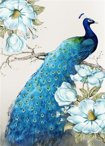 تصویر سه بعدی زیبا از طاووس