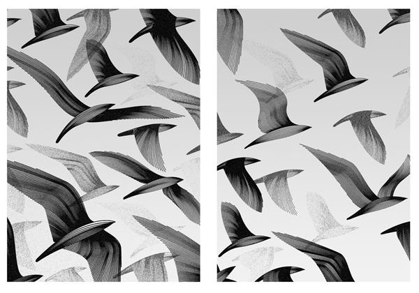 تصویر سه بعدی از دسته ای از پرندگان