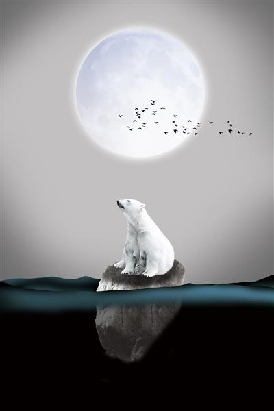 تصویر سه بعدی خرس و ماه