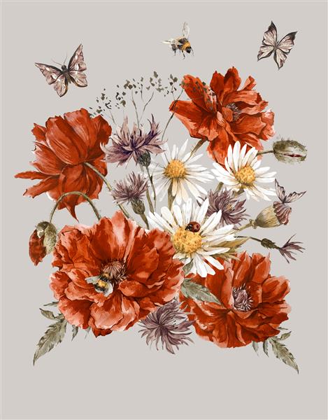 کارت پستال با آبرنگ قدیمی با خشخاش قرمز شکوفه دار بابونه کفشدوزک و گل های ذرت بامبل زنبور عسل و پروانه ها تصویر آبرنگ