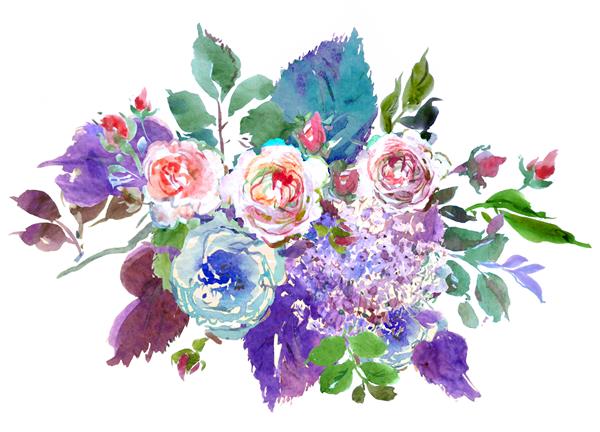 اثر هنری آبرنگ نقاشی دستی ترکیب گل تابستانی دسته گل گل رز و برگ بنفش صورتی و آبی