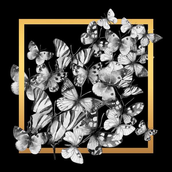 قاب پروانه تصویر آبرنگ پروانه های نقاشی شده با دست در قاب طلایی