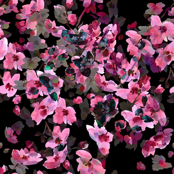 تصویر آبرنگ الگوی بدون درز از شکوفه های صورتی گیلاس وحشی - AC