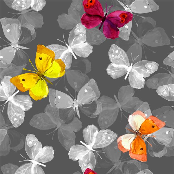 پروانه ها پروانه های رنگارنگ در پس زمینه خاکستری الگوی تکراری آبرنگ