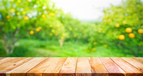 رویه میز چوبی با تاری باغ پرتقال در صبح برای نمایش محصول مونتاژ یا طرح بصری کلید طراحی