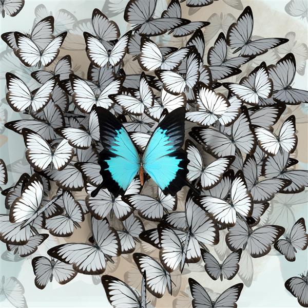 یک پروانه آبی بزرگ در میان تعداد زیادی پروانه سفید کوچک - از مفهوم جمعی جدا شوید - تصویر سه بعدی ایجاد شده توسط رایانه