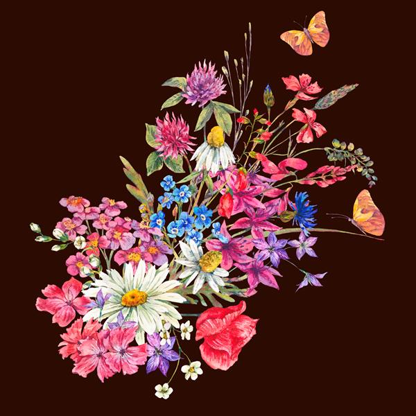 کارت پستال تابستانی طبیعی آبرنگ با دسته گل های وحشی دیزی شبدر گیاه علفزار و پروانه تصویر گل گیاه شناسی جدا شده در پس زمینه سیاه