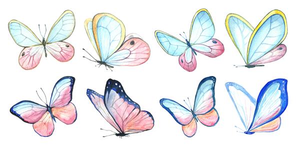 مجموعه بزرگی از پروانه های آبرنگ در رنگ های صورتی روشن تصویرسازی دست ساز نقاشی حیوانات با رنگ روی کاغذ اشیاء جدا شده در پس زمینه سفید