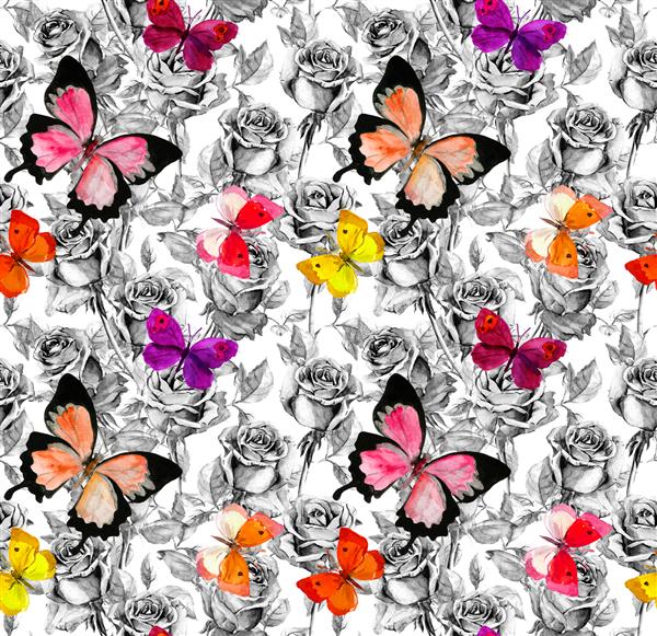 گل و پروانه های رز دیتسی آب رنگ پس زمینه بدون درز در رنگ های سیاه و سفید