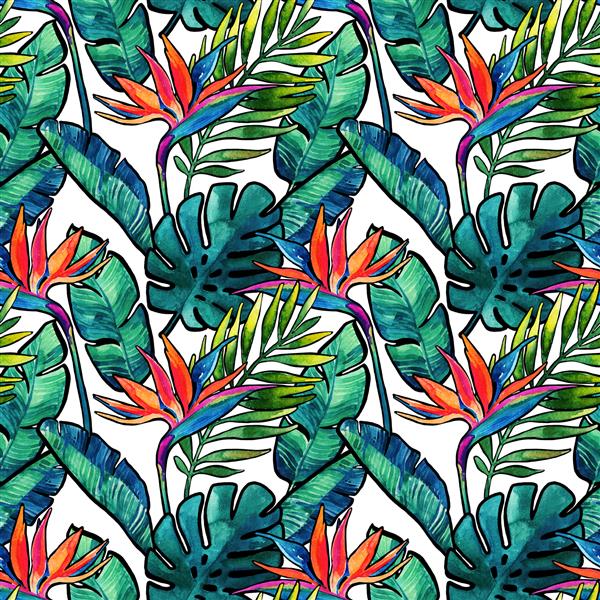 برگ ها و گل های استوایی آبرنگ با الگوی بدون درز کانتور هیولاهای آبرنگ برگ های نخل پس زمینه پرنده بهشتی تصویر نقاشی شده با دست برای طراحی تابستانی