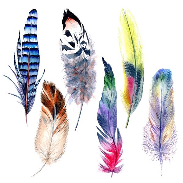 طرح پر پرنده آبرنگ از بال پر آکوارل برای پس زمینه بافت الگوی لفاف قاب یا حاشیه