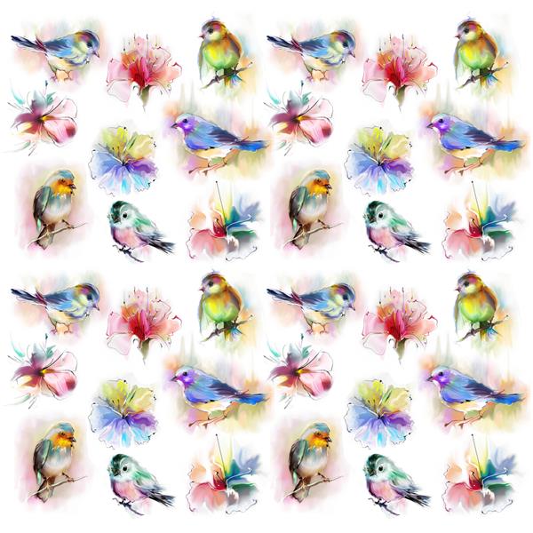 الگوی آبرنگ شیک با مجموعه ای از پرندگان جدا شده در پس زمینه سفید