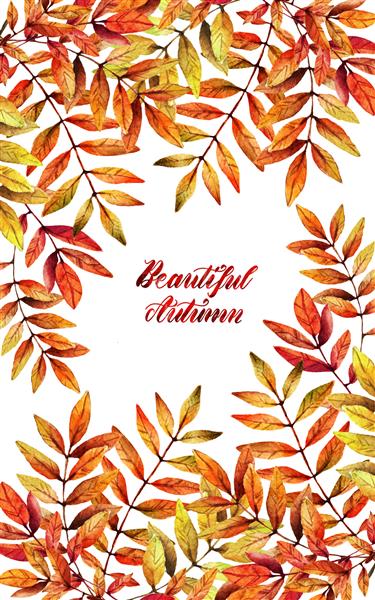 تصویرسازی آبرنگ پاییز زیبا برگ های خاکستر کوه دست ساز ست کارت پستال برای شما پس زمینه سفید