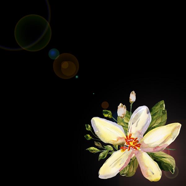 کارت تصویر آبرنگ یک دسته گل گرمسیری وانیل - 8