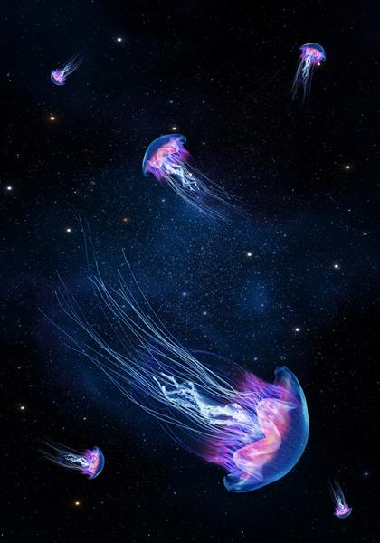 چتر دریایی درخشان شنا در اعماق کیهان دریای آبی مدوسا فانتزی چتر دریایی نئون در کیهان فضایی در میان ستاره ها و کیهان رندر سه بعدی