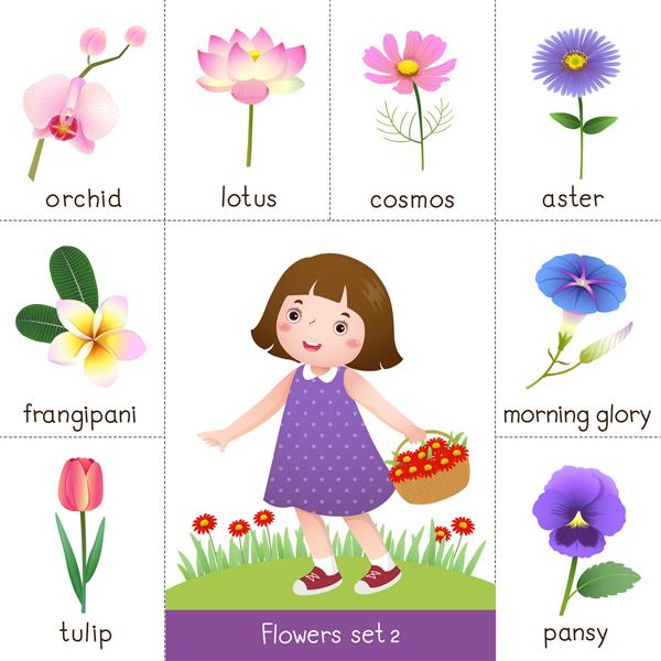 تصویر فلش کارت قابل چاپ برای گل و دختر بچه در حال چیدن گل