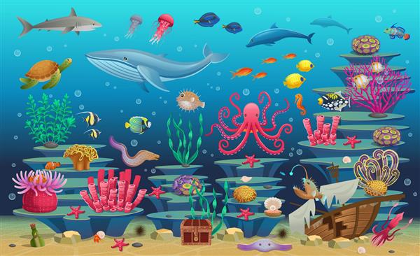 مجموعه بزرگی از صخره های مرجانی با جلبک ماهی های گرمسیری نهنگ اختاپوس لاک پشت چتر دریایی کوسه ماهی گیر اسب دریایی ماهی مرکب و مرجان ها تصویر 