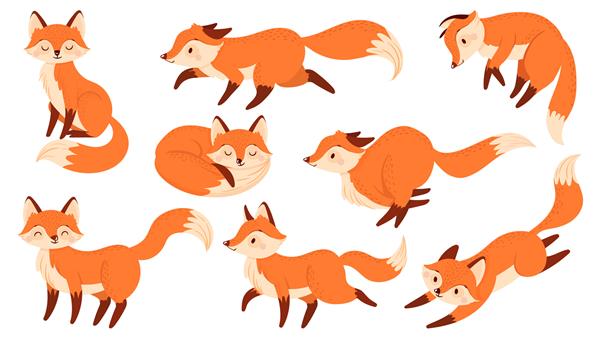 روباه قرمز کارتونی روباه‌های خنده‌دار با پنجه‌های سیاه حیوان جهنده زیبا شخصیت روباهی طلسم روباه درنده یا پستاندار حیوان جنگلی حیات وحش مجموعه آیکون های تصویر برداری جدا شده
