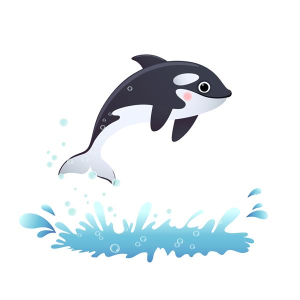 نهنگ قاتل کارتونی ناز در حال پریدن از دریا