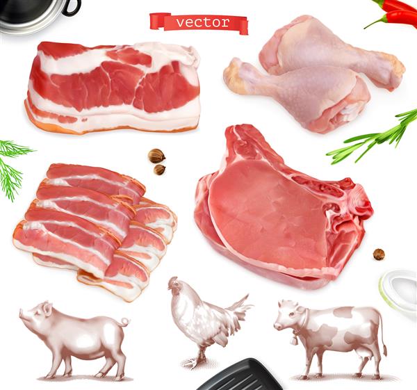 غذای گوشت مجموعه تصویری گوشت گاو خوک پای مرغ