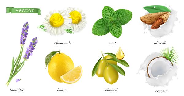 مجموعه تصویری گیاهان دارویی و طعم دهنده ها