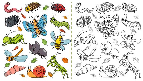 بازی نقاشی رنگی حشرات کارتونی