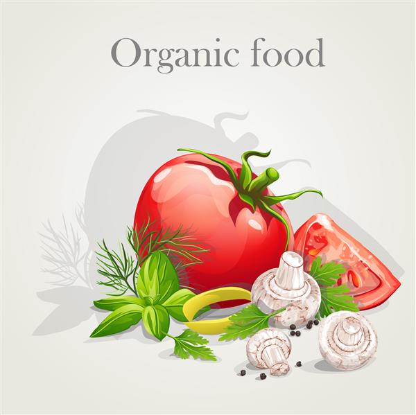 تصویر مواد غذایی ارگانیک