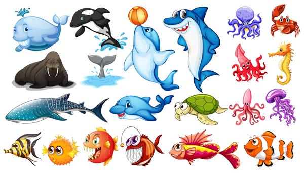 تصویری از انواع مختلف حیوانات دریایی