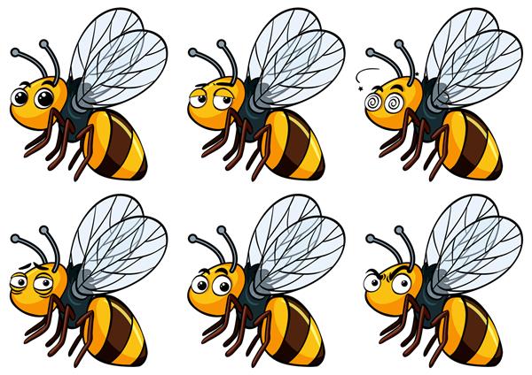 زنبور عسل با حالات چهره متفاوت
