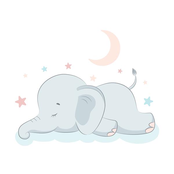 فیل خواب ناز