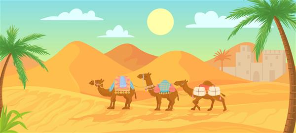 کاروان شتر در صحرای صحرا