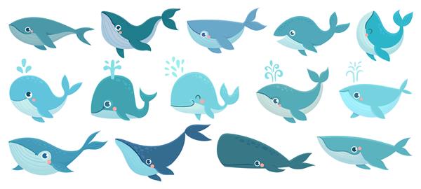 مجموعه نهنگ های ناز