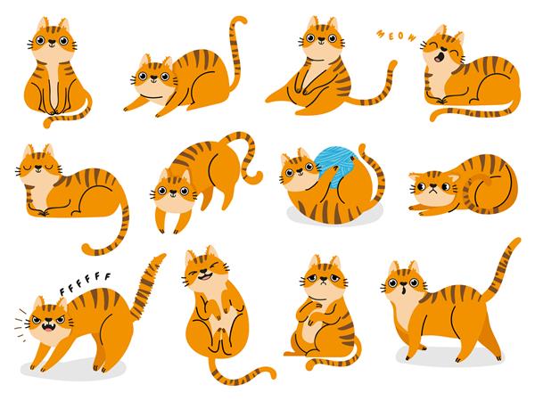 ژست گربه کارتونی گربه های راه راه چربی قرمز احساسات و رفتار حیوان خانگی بچه گربه بازیگوش خوابیده و ترسیده مجموعه وکتور زبان بدن گربه تصویر گربه حیوان خانگی بچه گربه حیوانی راه راه ناز