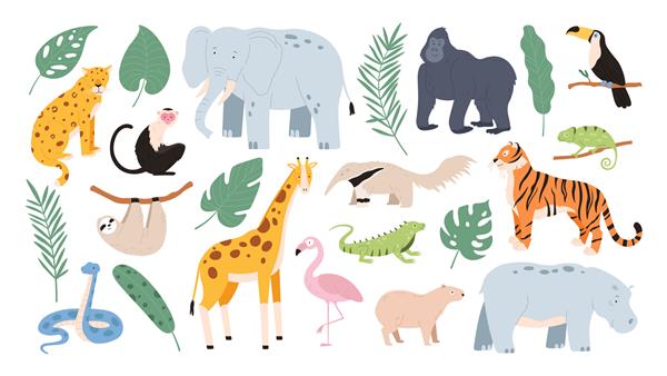 حیوانات گرمسیری مسطح از ساوانای آفریقا و جنگل جنگل ببر کارتونی میمون فلامینگو فیل و تنبل مجموعه وکتور حیوانات سافاری