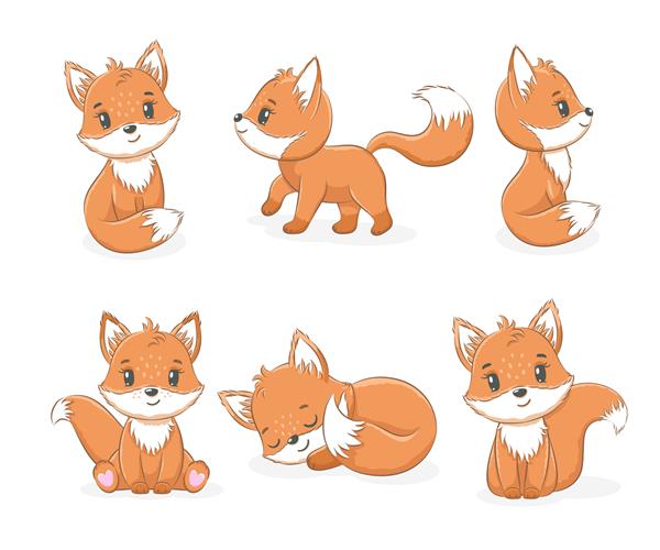 مجموعه ای از روباه های کوچک زیبا تصویر برداری از یک کارتون