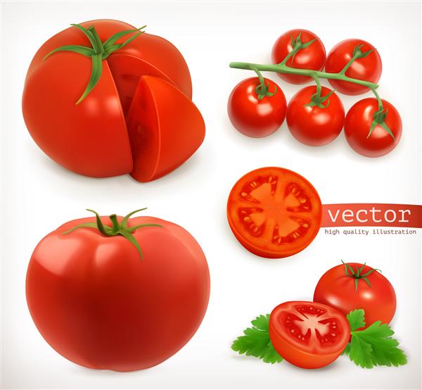 گوجه فرنگی مجموعه آیکون وکتور سه بعدی سبزیجات