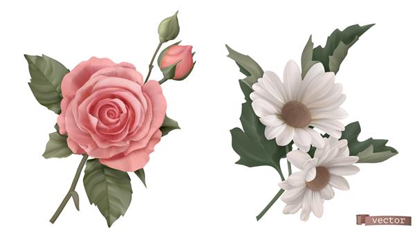 گل های قدیمی گل رز بابونه سه بعدی تصویر برداری واقع گرایانه